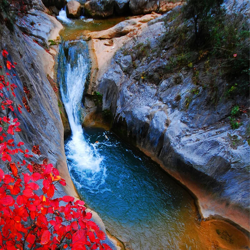 Фотобумага для стен 3D потоки гор красные листья унитазы ванная комната напольная