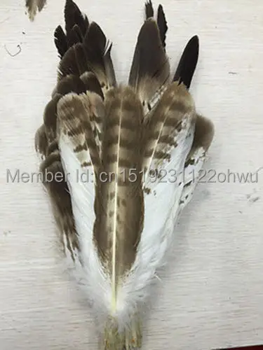 В новинка 2016 естественное окрашивание орлиные перья оптовая продажа 50 pcs15 30 из