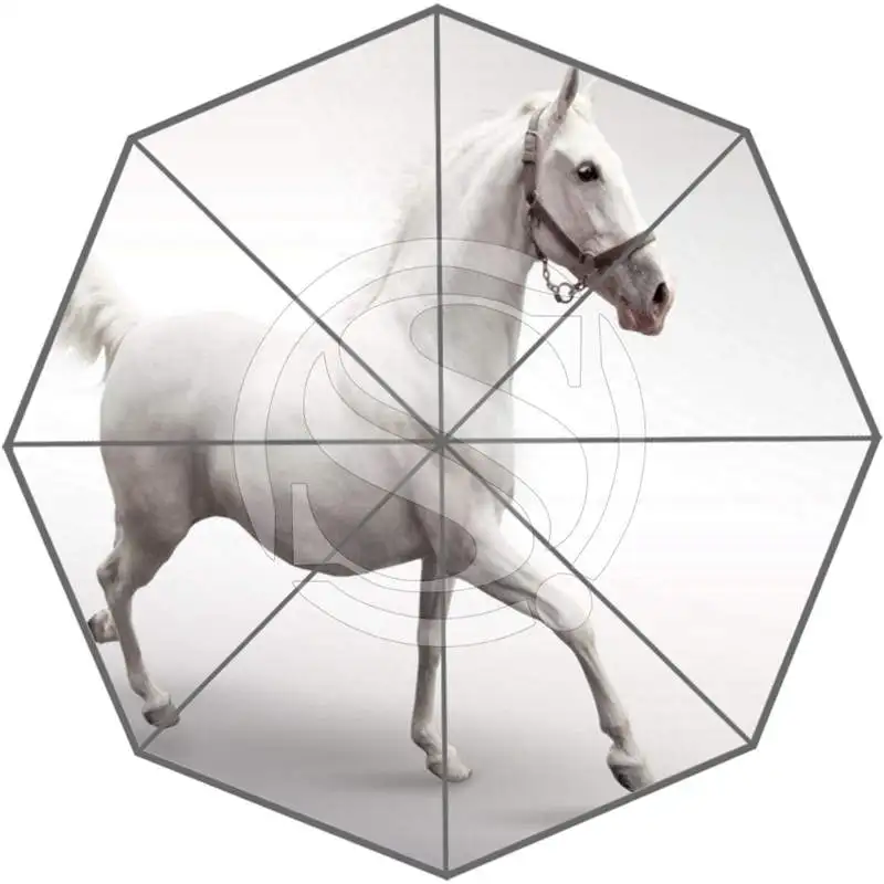 Новые Приходят Пользовательские Красивый Конь Самые Приятные Холодная