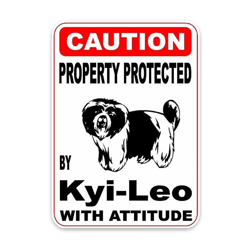 

YJZT 15*11,4 , Kyi-Leo