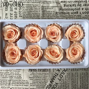 deep pink peach 4-5 см консервированные Цветы Роза подарок на день матери вечная жизнь цветок материал Рождество День святого Валентина Подарочная коробка бессмертный цветок розы - Цвет: deep pink peach