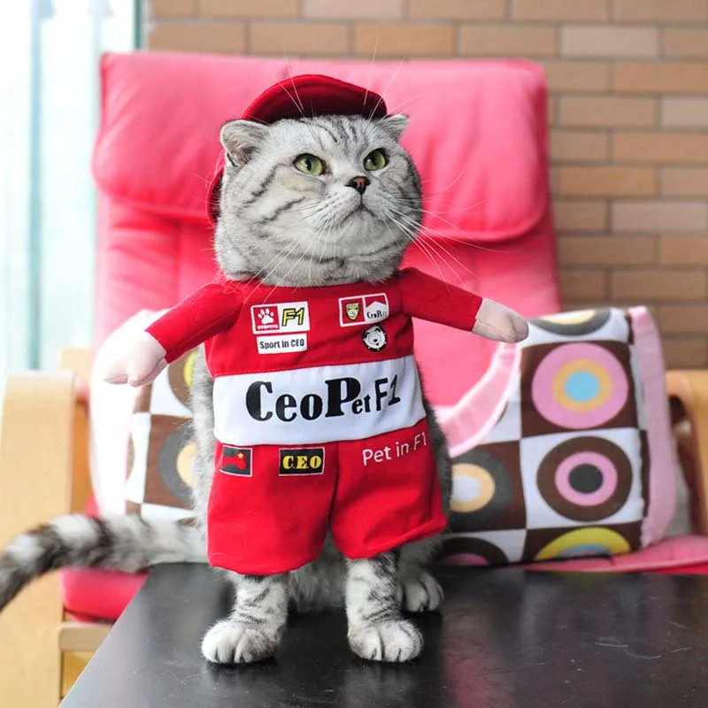 Funny Role Playing Cat Costumes Dog Clothes Spring Autumn Halloween Party Standing Transformed Suit for Small Medium Kitten Cats |