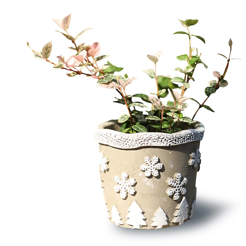 Christmas creative embossed concrete flower pot silicone mold cement green succulent plant | Дом и сад