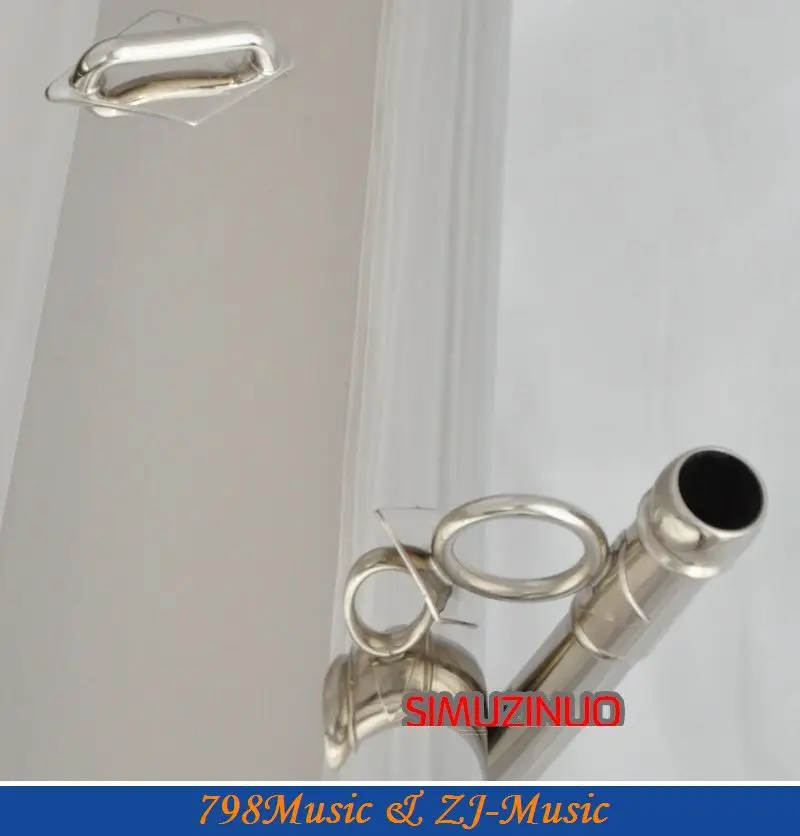 Рисунок 4 - Профессиональный никелевый посеребренный