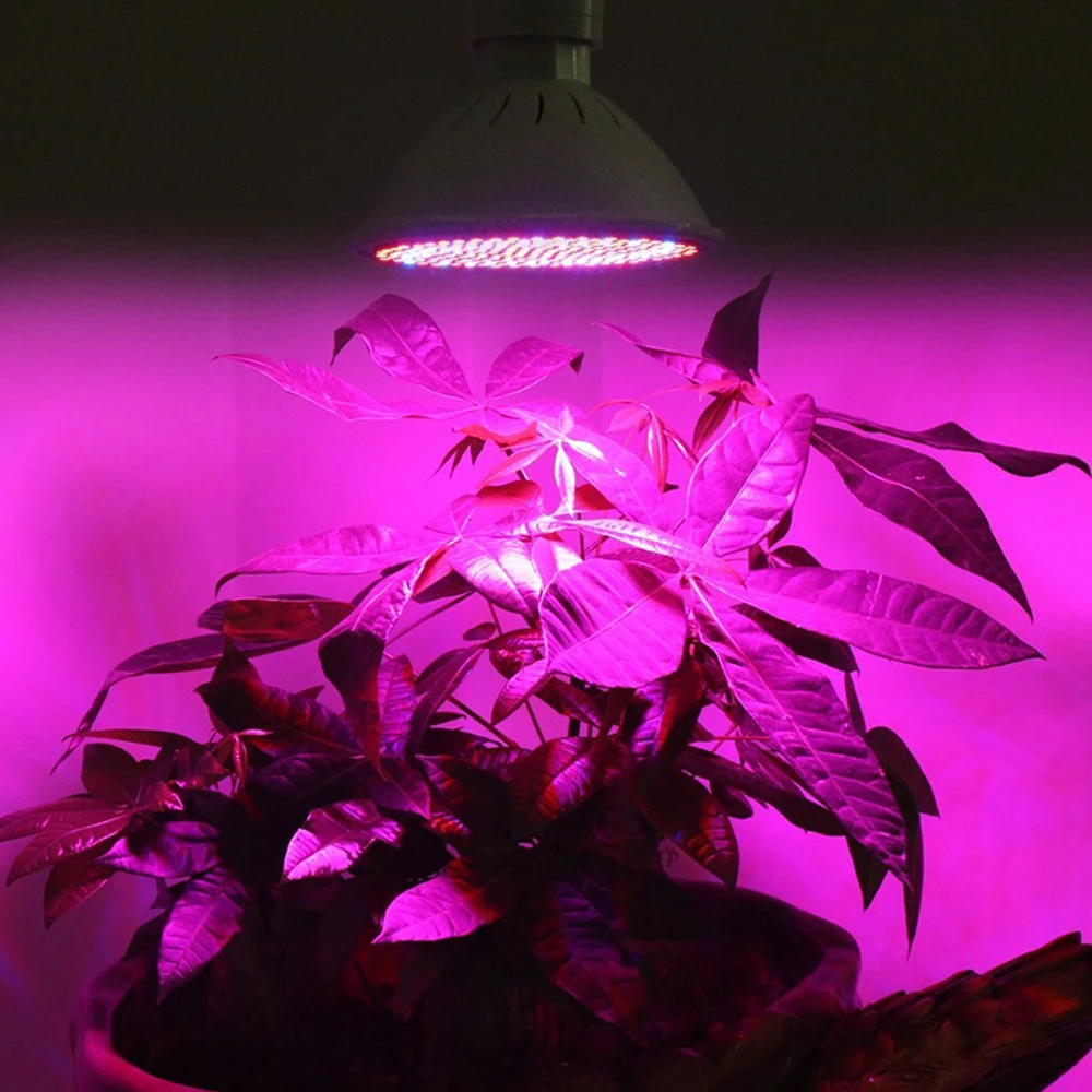 Освещение для растений