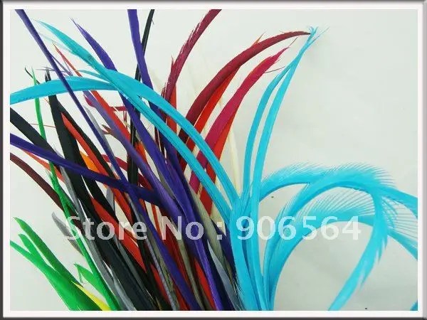 

Dyed Single Feather Hair Extension Acc Dyed Single Goose Biots Loose Feathers Fascinators Sinamay Hat Mask Colorful Headpieces