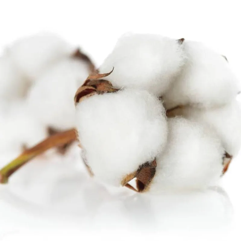 Нижнее белье для мужчин хлопковые боксеры мужчин|underpants for men|boxer shorts men underwearboxer |