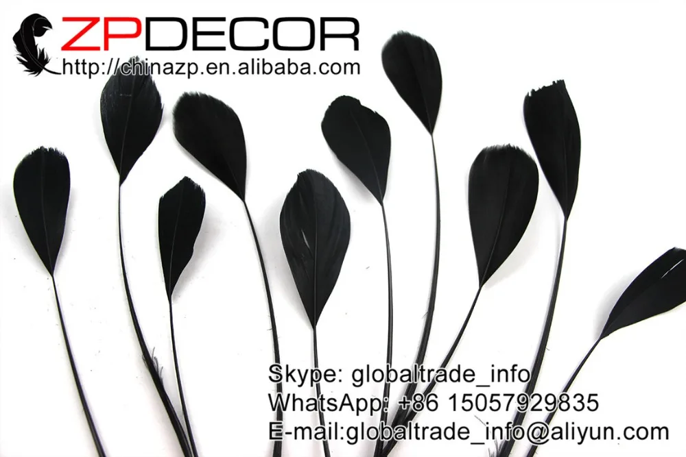 

ZPDECOR 200pcs/lot 15-20 cm(6-8inch) Premium Black Dyed Stripped Goose Tail Feathers For Party Costume Accessor Of Multi-color