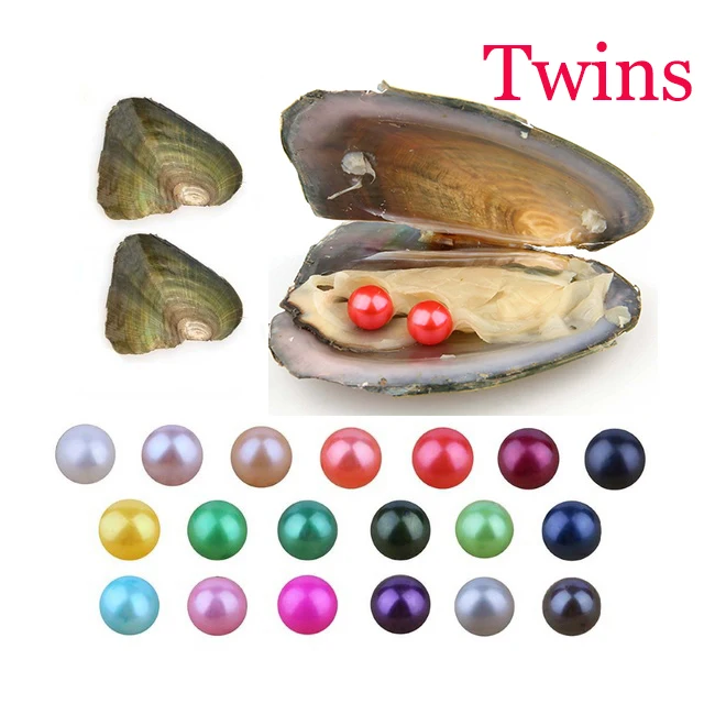 

30pcs/lot 2018 Freshwater Twins Pearls In Oysters 25 Colors Pearls Oyster Pearls With Vacuum-Packing Luxury Jewelry Birthday