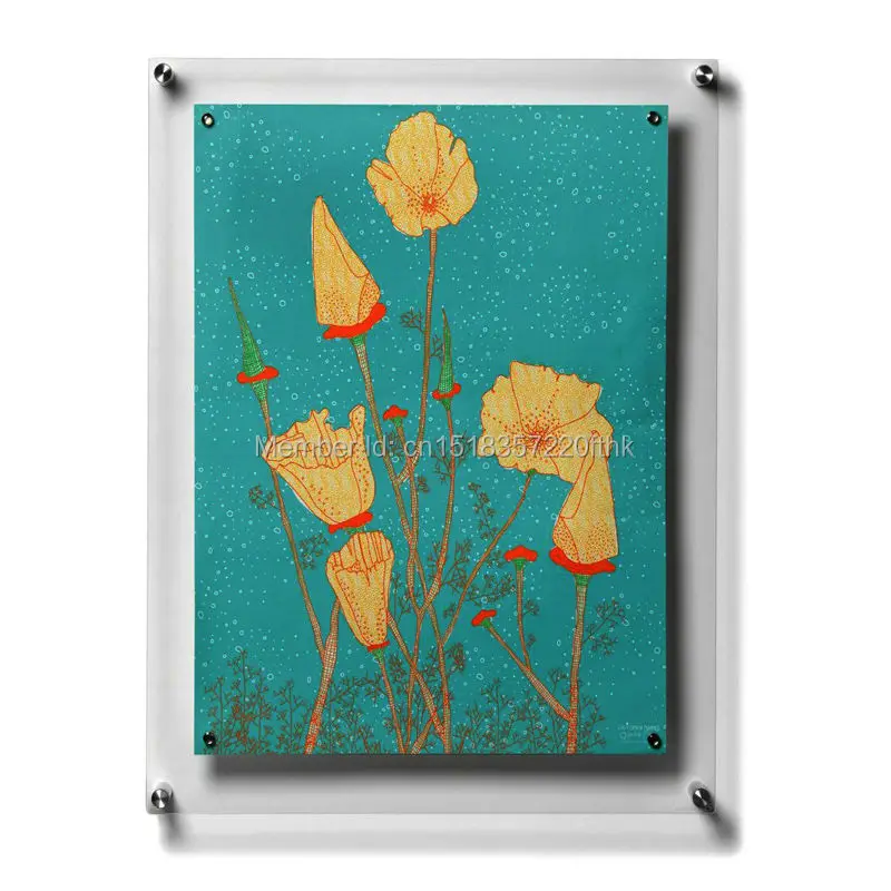 (Упаковка/5 шт.) A2 настенный акриловый оргстекл плавающий фотография и плакаты |