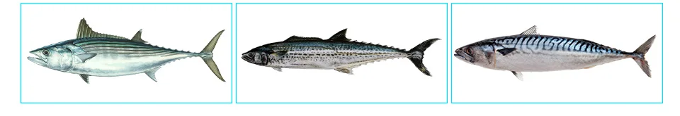 Тунец рыболовные приманки древесины Minnow Топ воды POPPING рыбалка большой GT море крючок mustad 1 шт./пакет 6 7 дюймов местные называют Ignobilis приманка для тунца