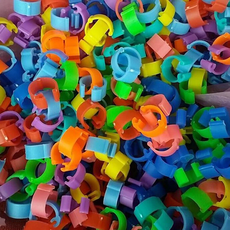 Люк птицы куриная нога кольца курица голубь цыплят утка клип универсальный