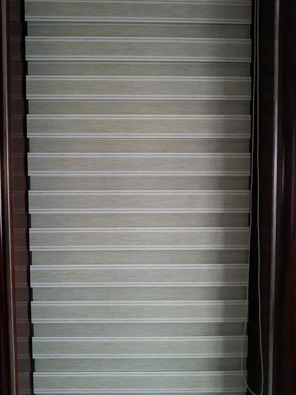 Элегантные двухслойные шторы с зебрами элегантные на окна для гостиной 6 видов