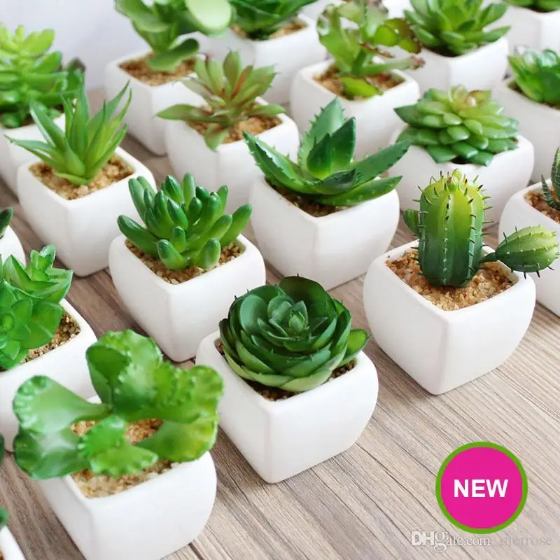 

Mini Artificial Green Plants With Ceramic Pot PVC Green Bonsai Potted Landscape Succulent & Cactus For Office Home Decoration
