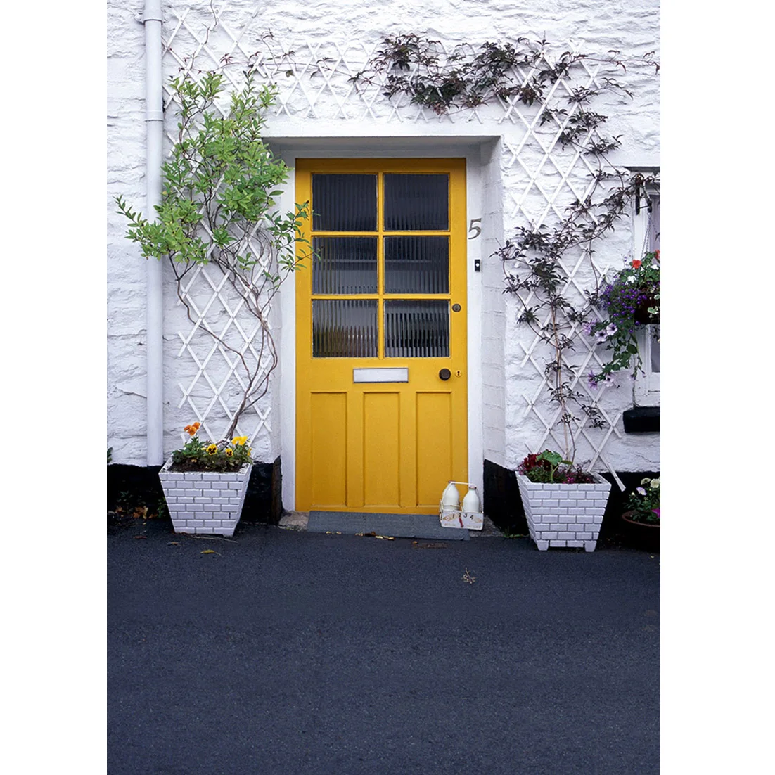 Photography Backgrounds for Photo Studio Yellow Door Brick Wall Vinyl Cloth Portrait Backdrops Kids Baby Photobooth | Электроника
