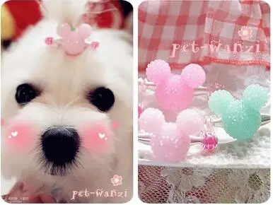 

Candy color dogs cats Cute hair clip grooming pet dog hair accessories fashion pet hairpin suppy 50pcs