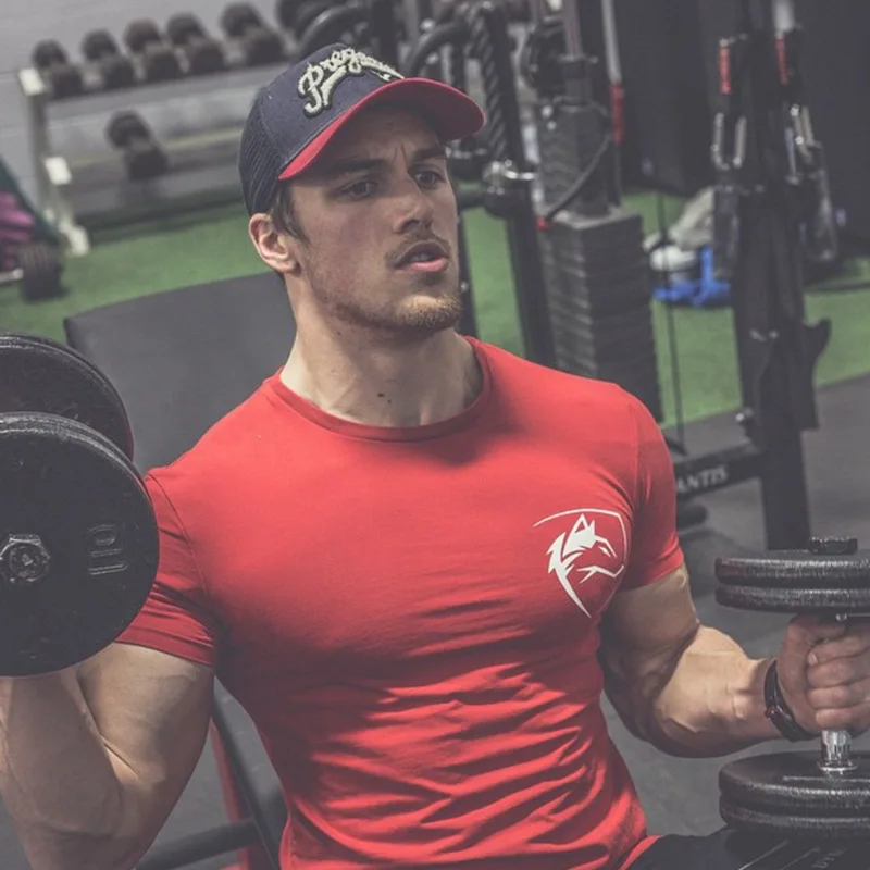 Мужские футболки Alphalete Gyms Фитнес Бодибилдинг тонкая футболка мужская с коротким