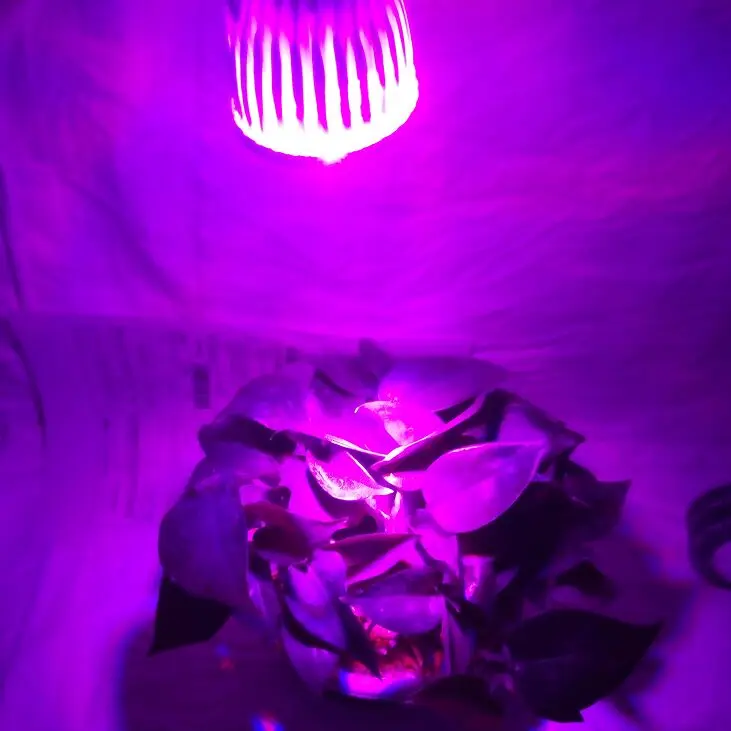 Светодиодсветильник для аквариума лампа E27 морского рифа кораллов водорослей|light
