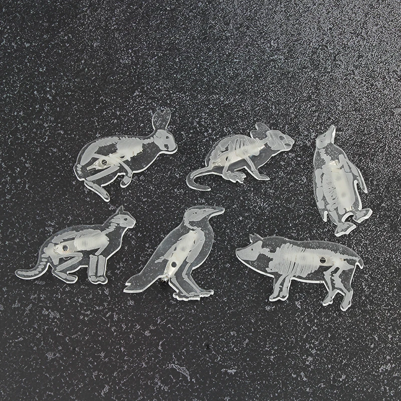 Скелет животного броши на булавке прозрачный Пингвин свинья Rrabbit кошка мышь
