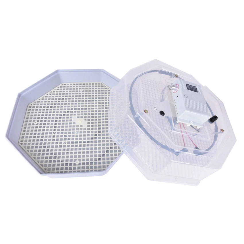 Полуавтоматический прозрачный цифровой дисплей 60 маленьких инкубаторов 1 шт./лот