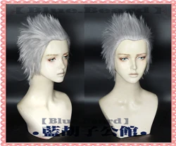 Vergil Парики для косплея Для Dante Nero Vitale V Vergil Lady Nico Nicoletta Goldstein парик для женщин и мужчин аниме волосы - Цвет: Vergil