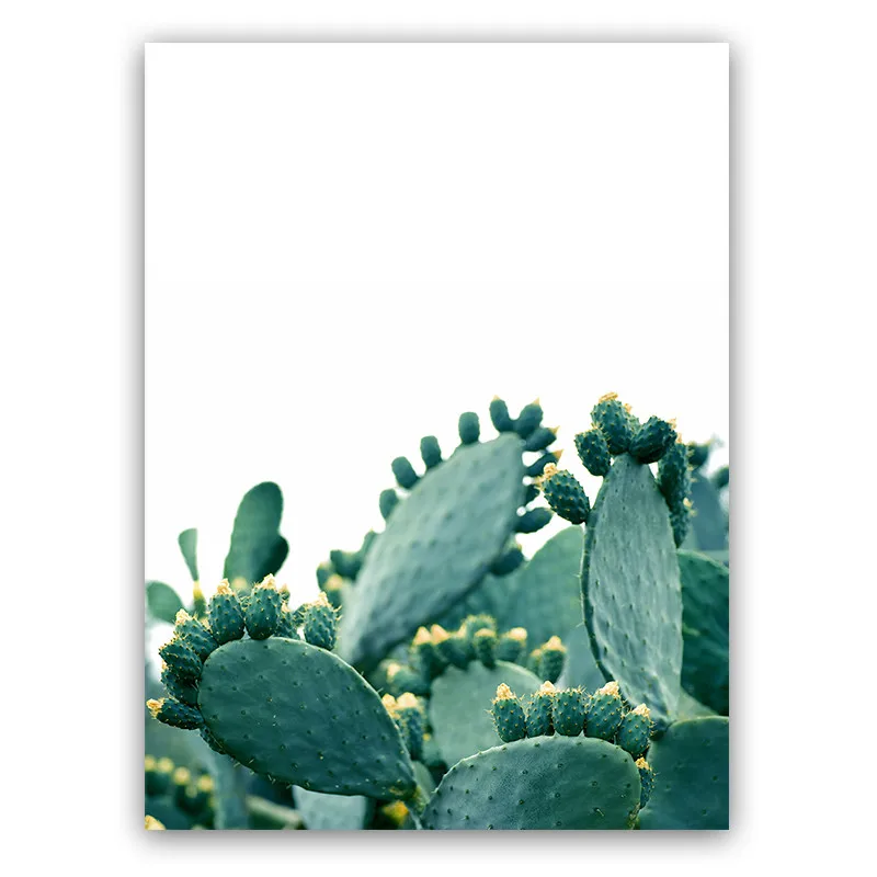 Горячая Распродажа скандинавском стиле Мексика Стиль кактус растение пустыни