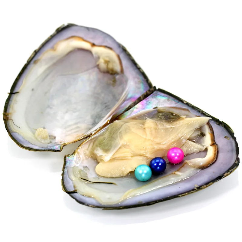 Высокое качество дешевые любовь пресноводная раковина жемчуг Oyster 10 жемчужины 6 7