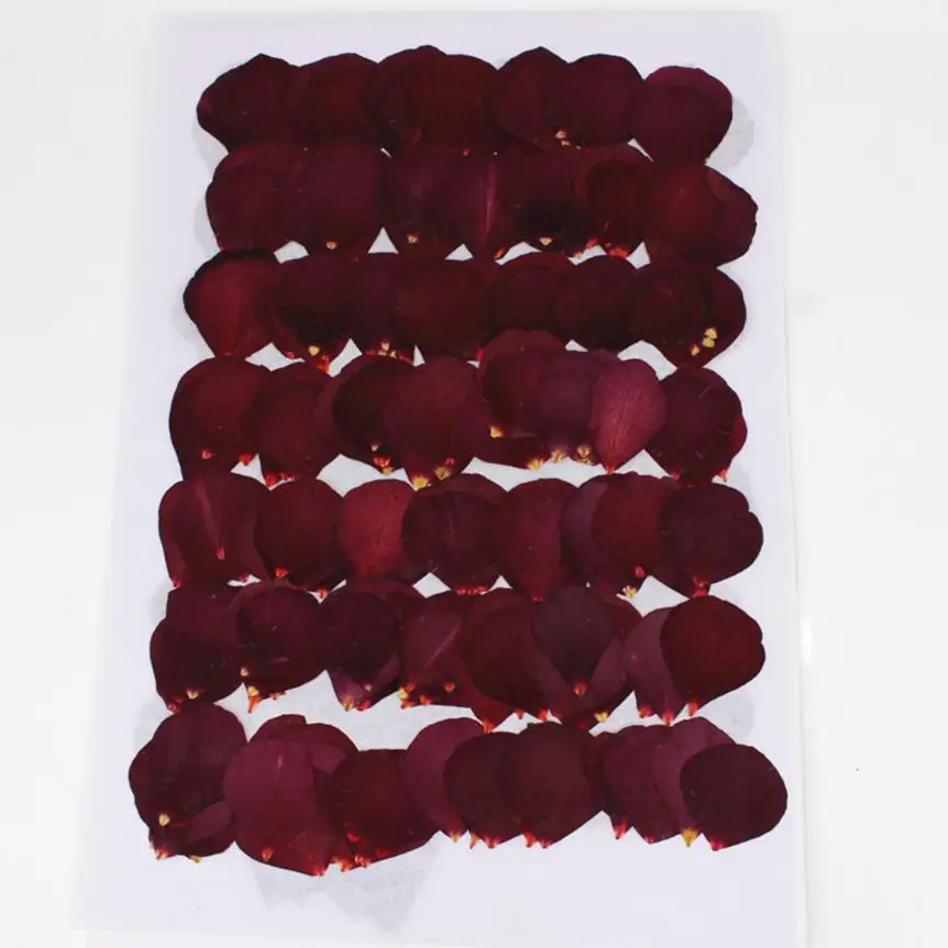 

120pcs Dried Pressed Flower Rose petals For Epoxy Resin Pendant Necklace Jewelry Making Craft DIY Accessories