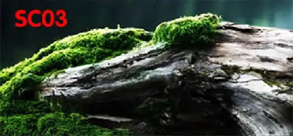 SC03 Водонепроницаемый пейзаж аквариум фон с клеем на поверхности холм камень дерево Рив плакат HD аквариум украшения - Цвет: SC03