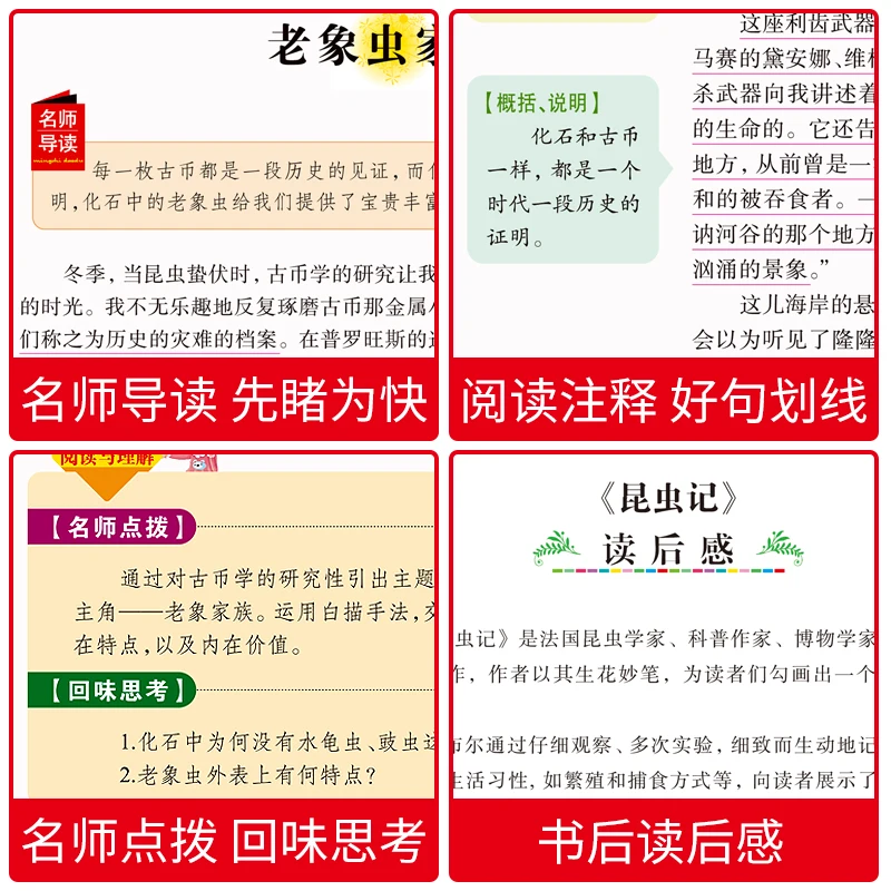 New the records about insects chinese book World classic story for kids children |