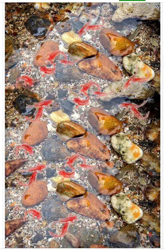 3d обои для ванной комнаты пол гостиной|floor wallpaper|3d wallpaperfloor wallpaper |