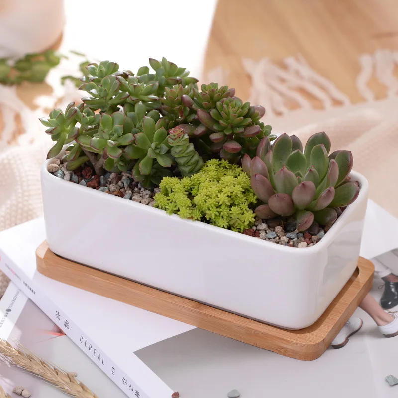 Vaso de Flores Decoração para Casa Pote + 1 Conjunto Retângulo Minimalista Branco Cerâmica Suculenta Planta Pote Porcelana Mesa Zakka Bandeja 1