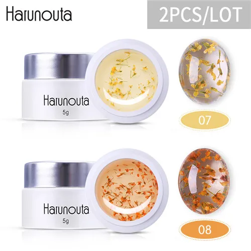 2pcs set6 Harunouta 2 шт Цветочный Гель-лак УФ замачиваемый гель для ногтей фея 3D Дизайн Лак высушенный цветок для ногтей художественное украшение маникюрный лак - Цвет: 2pcs set6