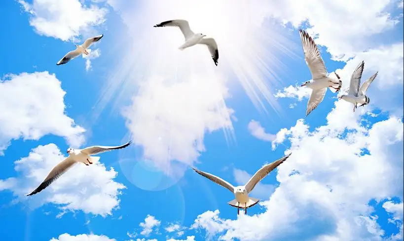 3d потолок голубое небо и белые облака обои фото Гостиная Спальня|cloud wallpaper|photo