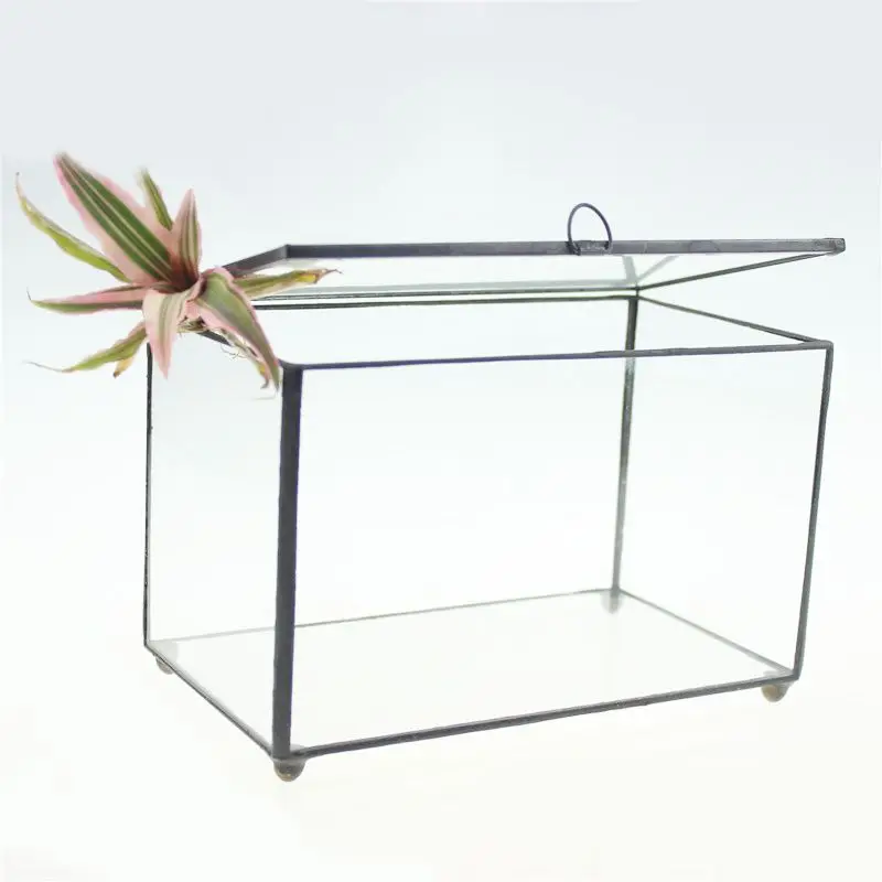 NCYP прямоугольник стеклянный цветочный горшок прозрачный геометрический