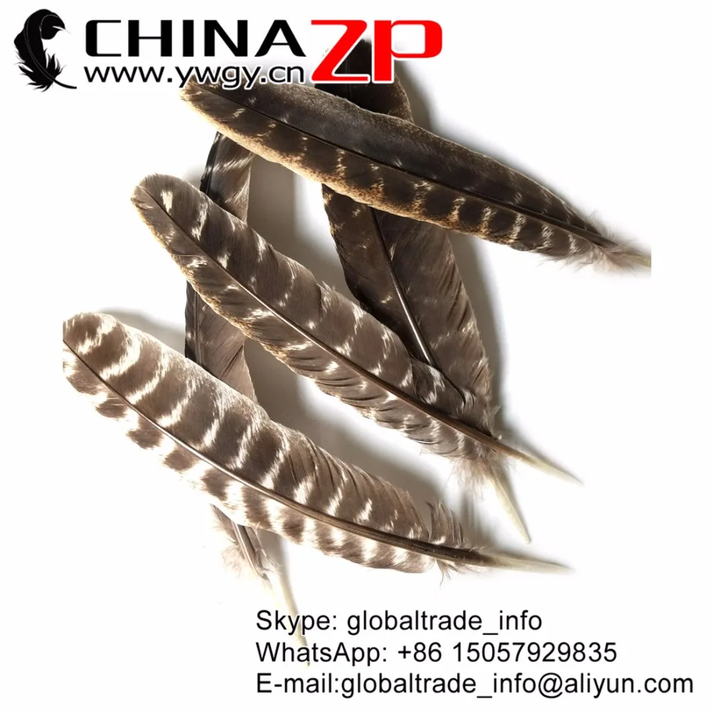 Китайские перышки с перьями 50 шт./лот размеры от 20 до 28 см|quill feather|wild turkeyfeather quill |
