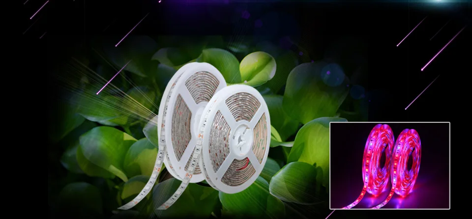 LED Фито Лампы для мотоциклов Лампы для роста растений SMD 5050 Светодиодные ленты свет DC12V красные, синие 3:1 4:1 5:1 для парниковых гидропоники растениеводства 5 м/лот