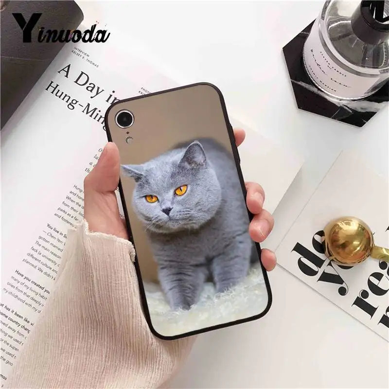 Yinuoda Британский короткошерстный чехол для iPhone 8 7 6 6S 6Plus X XS MAX 5 5S SE XR Fundas Capa 11 pro max |