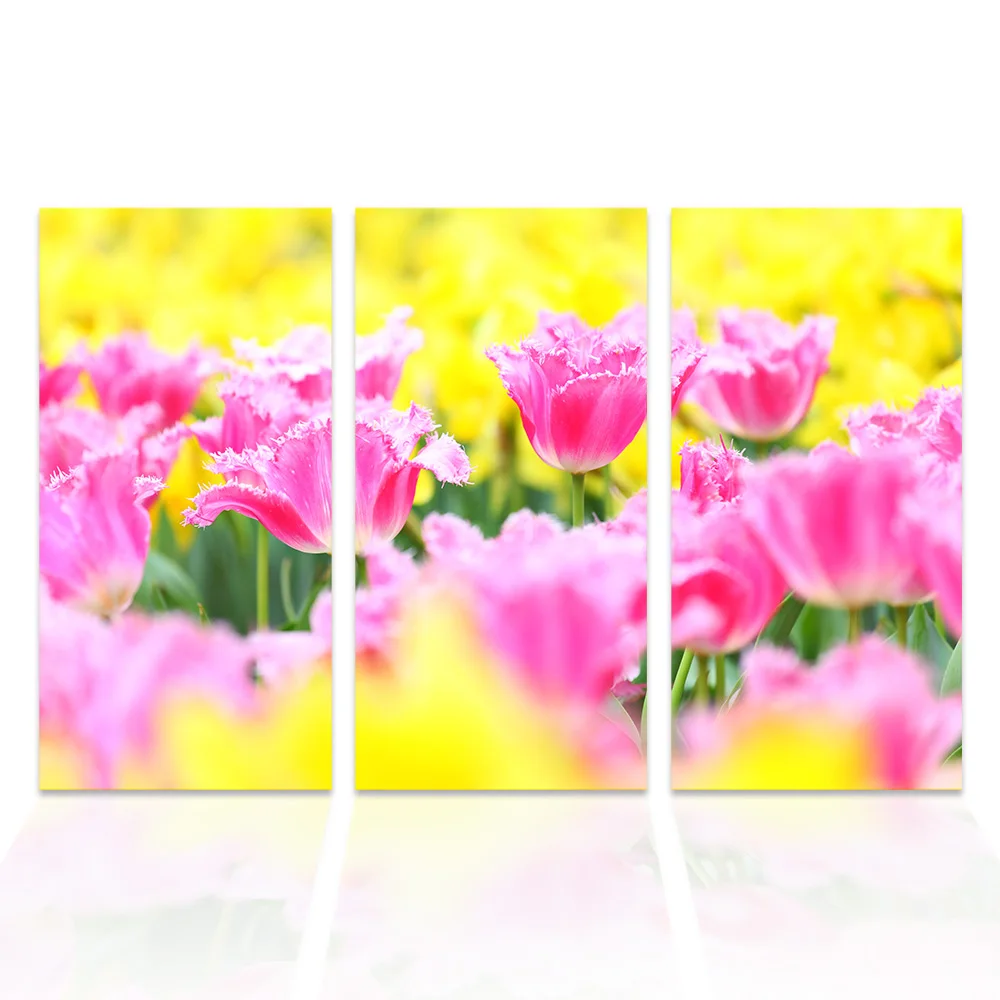 3 шт. картина с розовым цветком сад пейзаж холст настенное искусство HD фотография