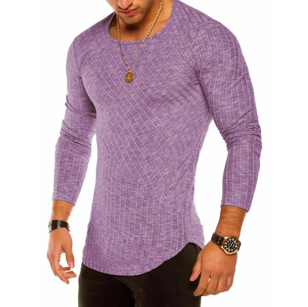 Purple 6 цветов, весна, Мужская футболка с длинным рукавом, повседневная, круглый вырез, в полоску, эластичная посадка, забавная уличная одежда, одноцветная футболка, топы в стиле хип-хоп - Цвет: Purple
