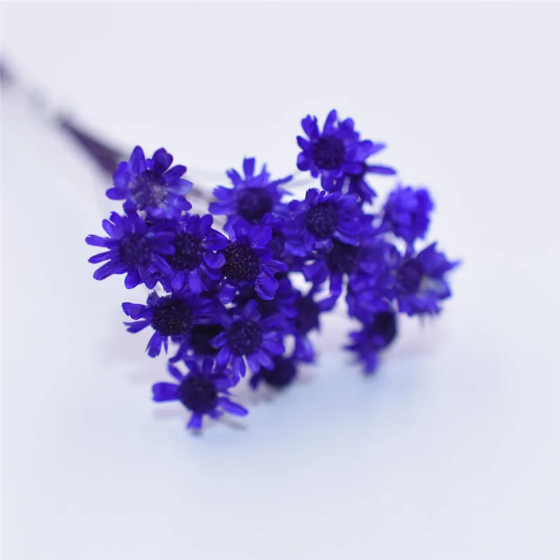 purple 30 шт. милая маленькая Маргаритка Натуральные сушеные цветы декоративные изделия стеклянный глобус наполнитель для силиконовой формы ювелирных изделий diy - Цвет: purple