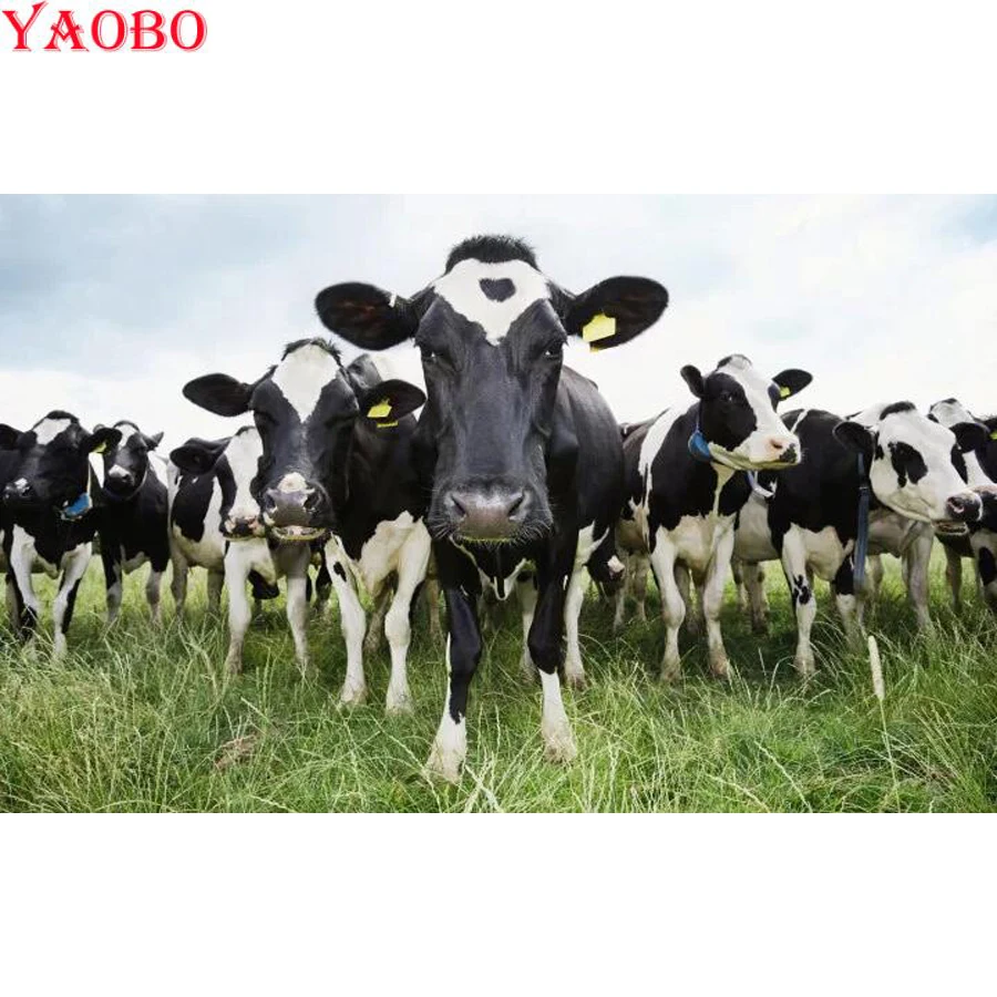 

farm animal cow 5D DIY diamond painting Full square round drill Diamond mosaic diamond embroidery Wall Art Pictures Home Decor