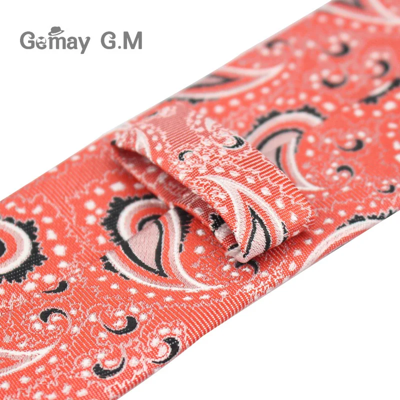 Новый стиль Галстуки для мужчин Пейсли Полиэстер Жаккардовый тканый мужской