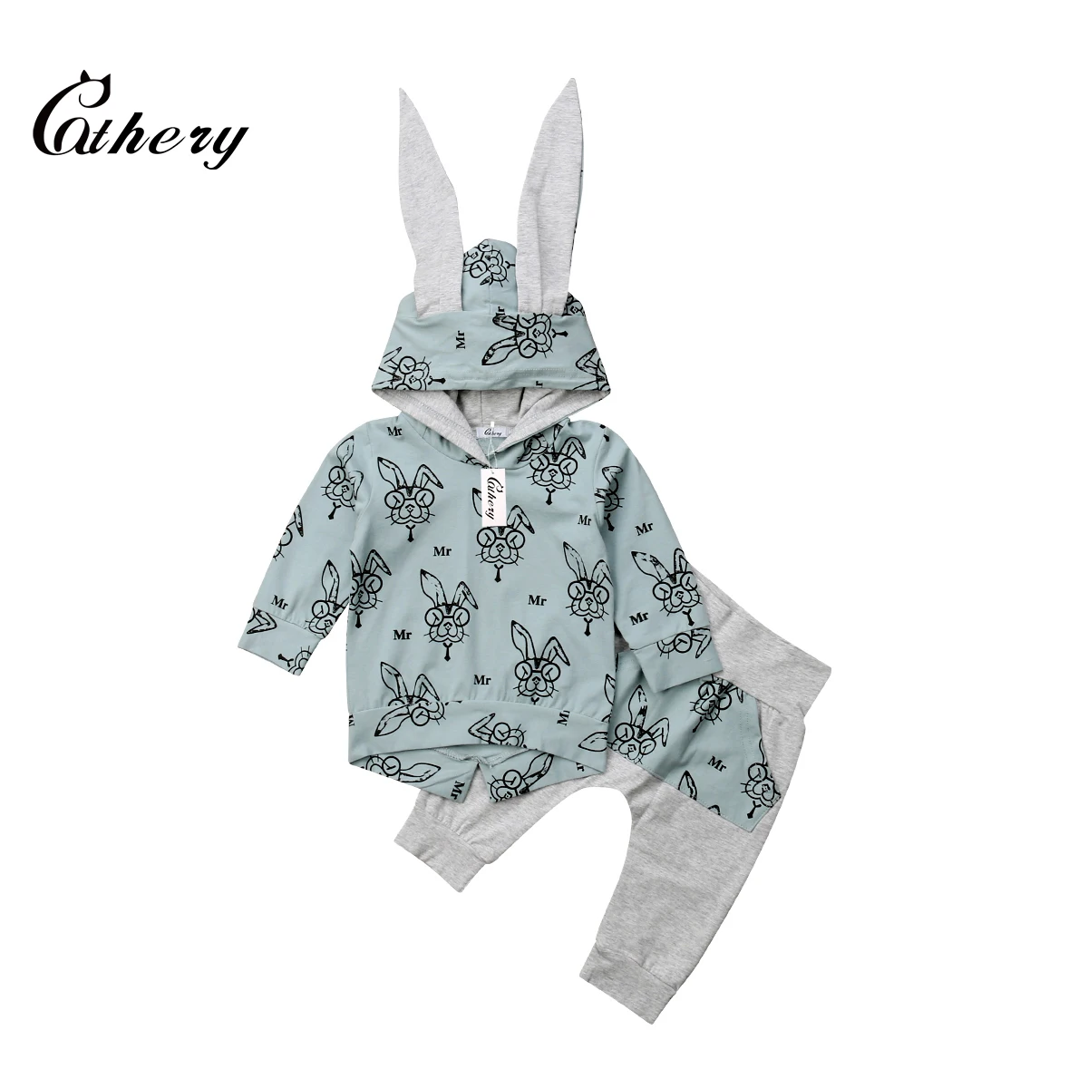Cathery/модный топ с капюшоном кроликом для новорожденных девочек футболка + штаны