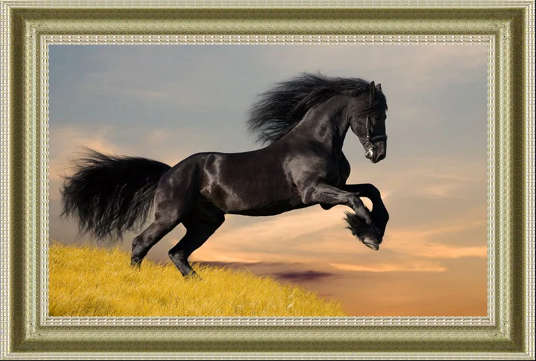 

Needlework,for embroidery,DIY The black horse riding Animal 14CT Cross stitch kits,Art Pattern counted Cross-Stitching decor