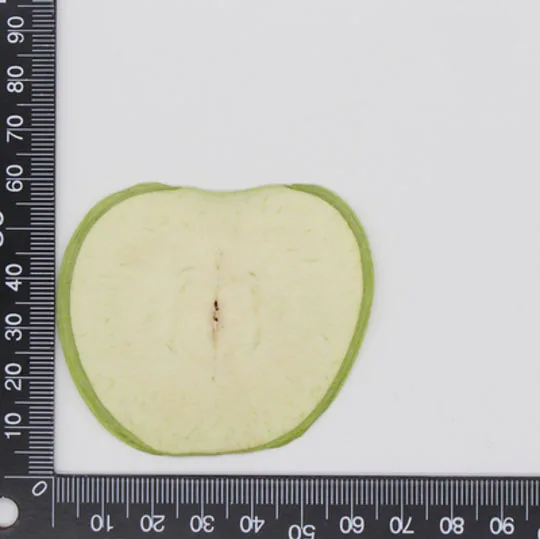 Green Apple 10 шт прессованный высушенный фруктовый ломтик гербарий из растений для ювелирных изделий открытка с пригласительным билетом чехол для телефона Закладка рукоделие Изготовление DIY - Цвет: Green Apple