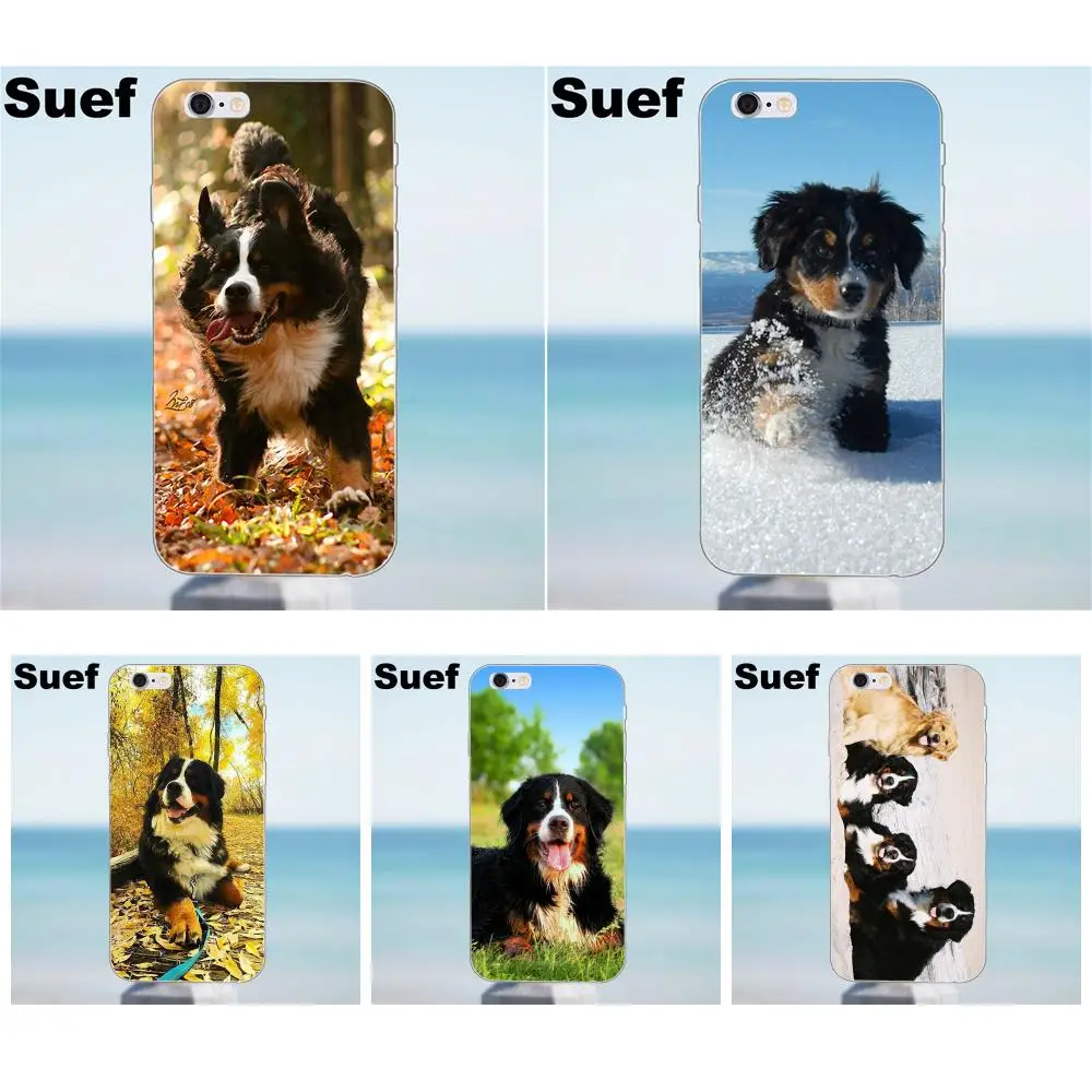 Suef Bernese Mountain Dog для iPhone 4 4S 5 5S 5C SE 6 6S 7 8 Plus X Galaxy J1 J3 J5 J7 A3 A5 2016 2017 TPU Fashion|for iphone|galaxy j1a5 |