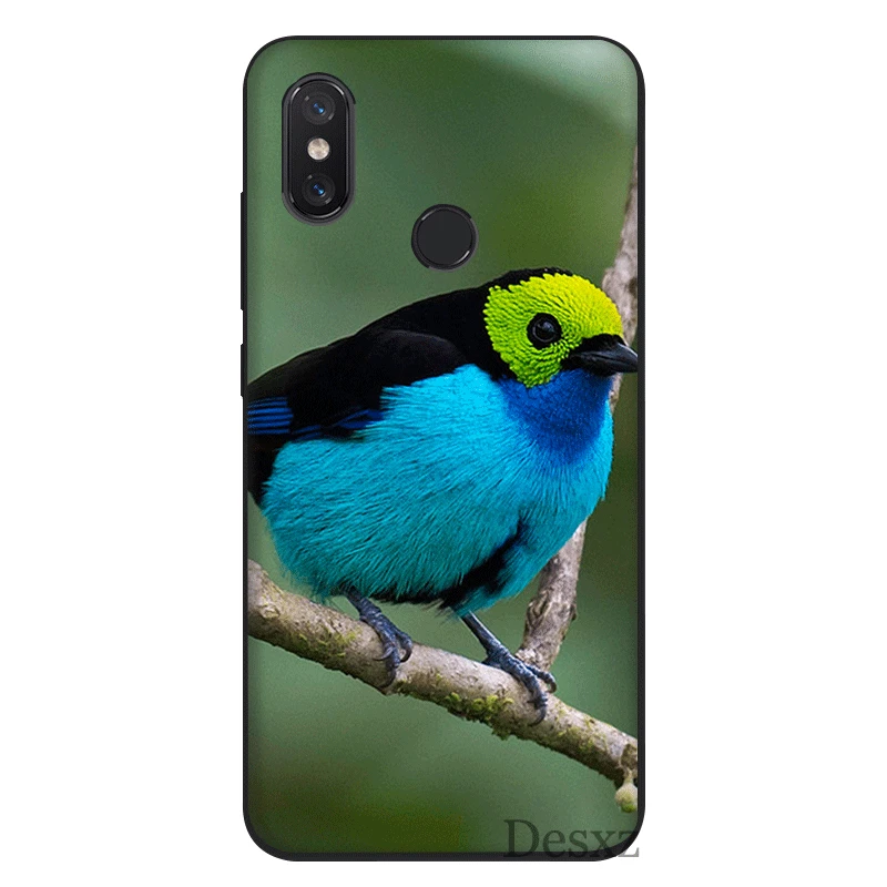 Мобильный телефон чехол tpu для Xiaomi Redmi GO 7 4A 4X 5 6 5A 6A Pro Plus S2 животное птица попугай