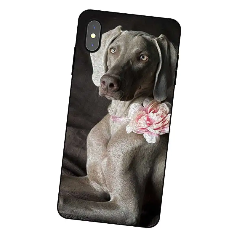 N464 Weimaraner Cute Black Silicone Case Cover For Apple iPhone 11 Pro XR XS Max X 8 7 6 6S Plus 5 5S SE |