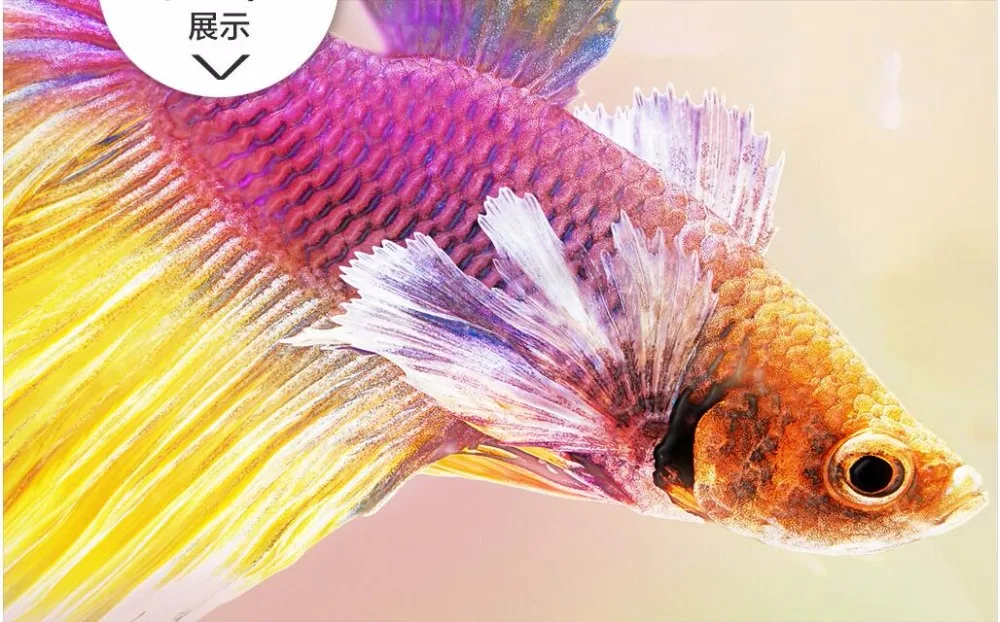 Custom mural 3d photo wallpaper Carp lotus background wall living room painting murals for walls 3 d | Обустройство дома